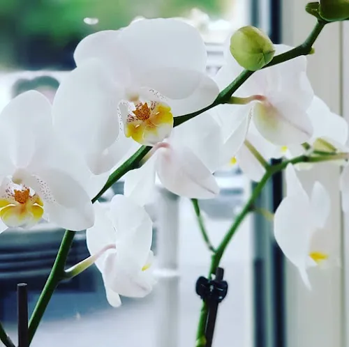 3 - 77 - HAIR & COSMETICS