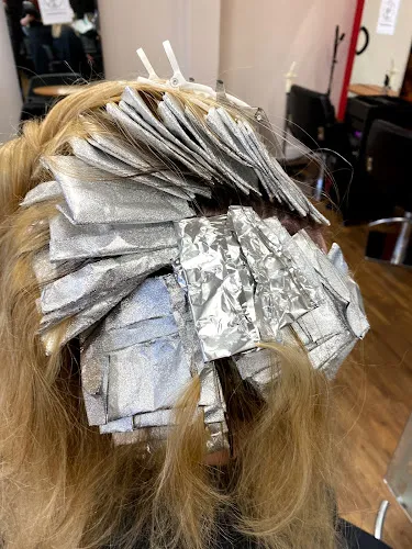 6 - Afro Braids and European Extentions