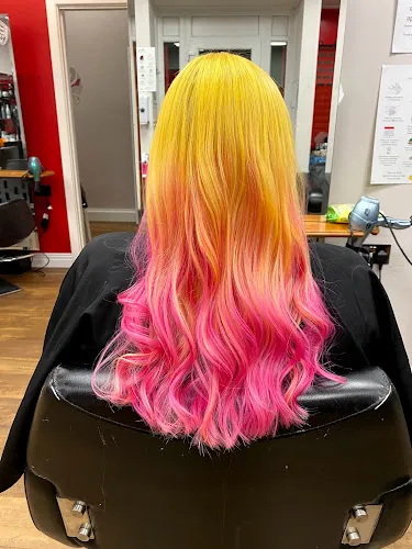 3 - Afro Braids and European Extentions