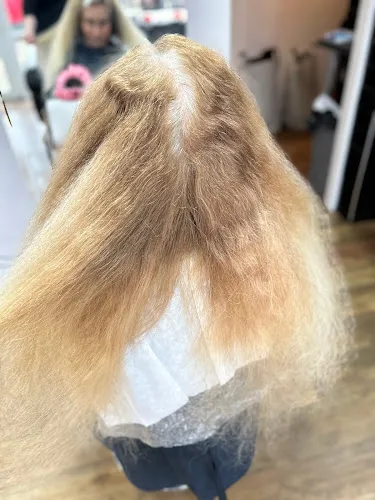 8 - Afro Braids and European Extentions