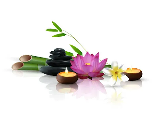 5 - Alcalde Brazilian Wellness