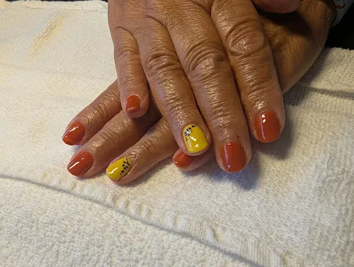 5 - Alice + the Hare