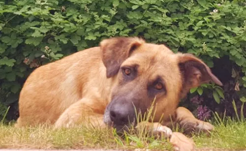 7 - Allgemeine und Dermatologische Praxis Nidderau