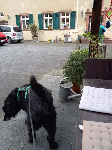 3 - Allgemeine und Dermatologische Praxis Nidderau