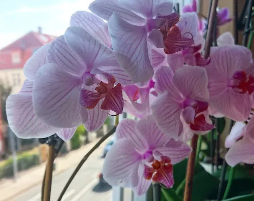 3 - Allgemeinmedizin & Naturheilkunde Viktoria Karukina