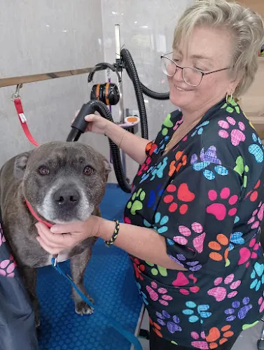 2 - Anna’s Cafe In Lara