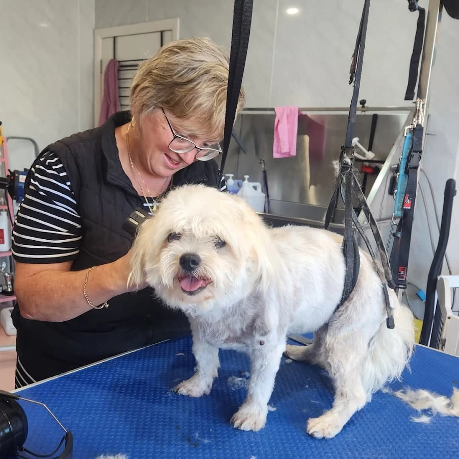 1 - Anna’s Cafe In Lara