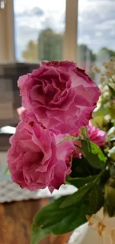 4 - Arztpraxis Dr. Kathrin Danner