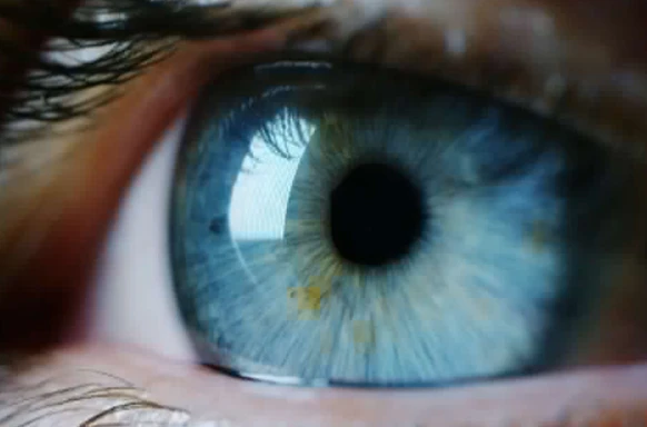 1 - Augenärztin Dr. med. Ria Rudolf-Spatny