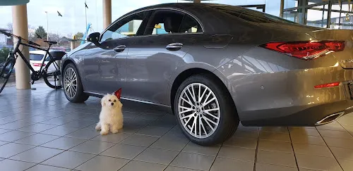 5 - Autofachwerkstatt Reibert Körber GbR