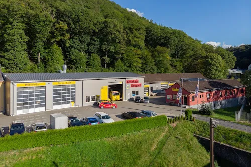 6 - AutoFit Nico Lieder