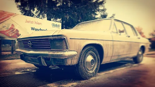 1 - Autopflege Rosin