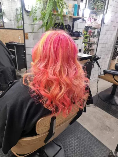 8 - Back N Sides Mount Gambier