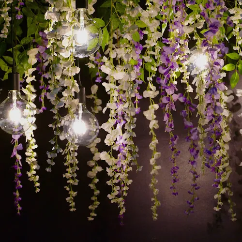 5 - Base Aesthetics - Eve Henry