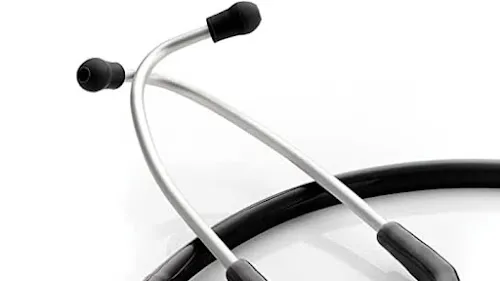 6 - Batsou Rajnikant