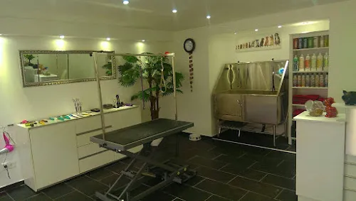 4 - Beauty Dog Hundesalon