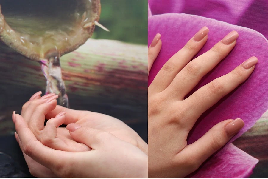 1 - Beauty Dog Hundesalon