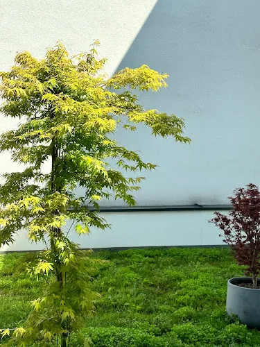 3 - Beauty Hair & Barber