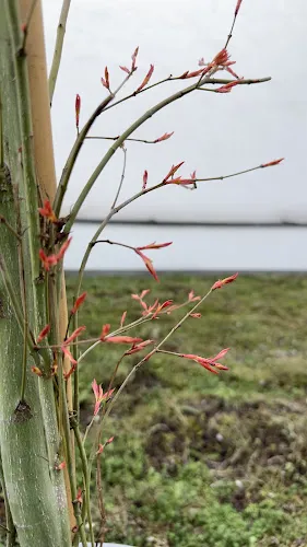 2 - Beauty Hair & Barber