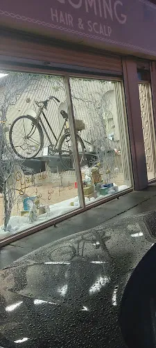 6 - Becoming hair and scalp