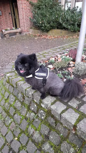 6 - Benedikt F. Linnenbrink