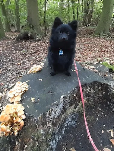 5 - Benedikt F. Linnenbrink