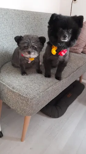 7 - Benedikt F. Linnenbrink