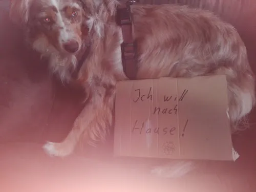 8 - Bernd Schwenk FriseurMstr.