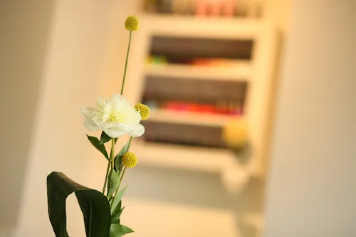 6 - Bliss Beauty and Wellness