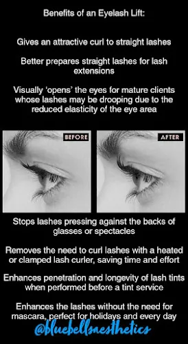 3 - Bluebells Aesthetics