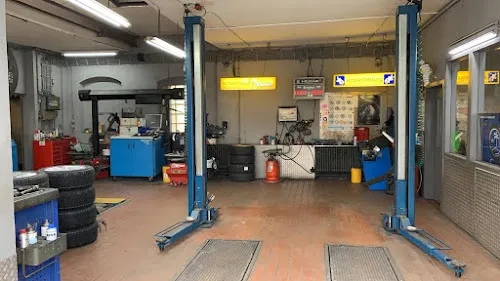 4 - Body Concept Inh. Dirk Bucklisch