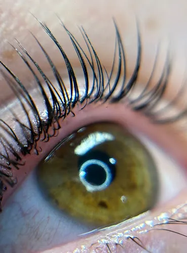 7 - BodyWorks Spa Sublime