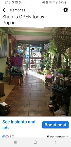 3 - Brookes Hairworx