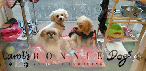 4 - Carols Bonnie Dogs Grooming