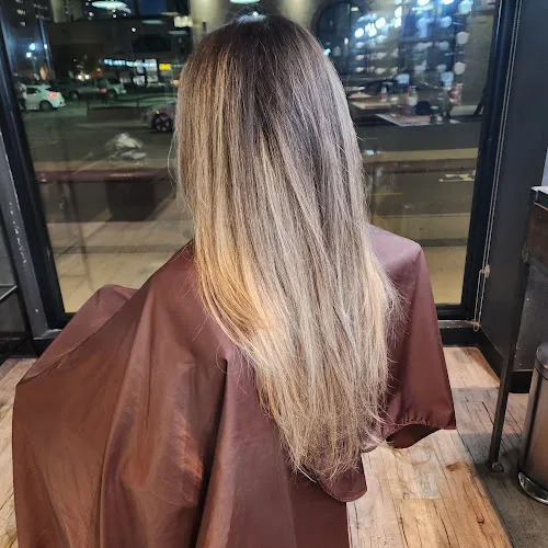 8 - Cavalier and Textur Hair Design