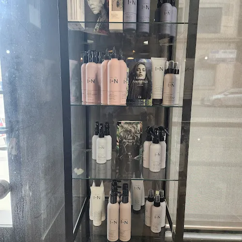 2 - Cavalier and Textur Hair Design