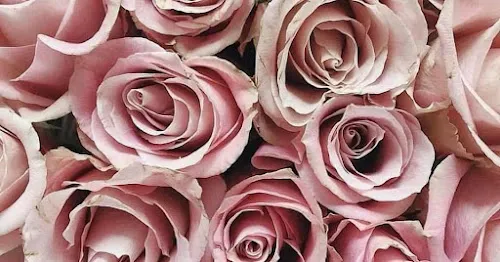 3 - Charlie`s Studio