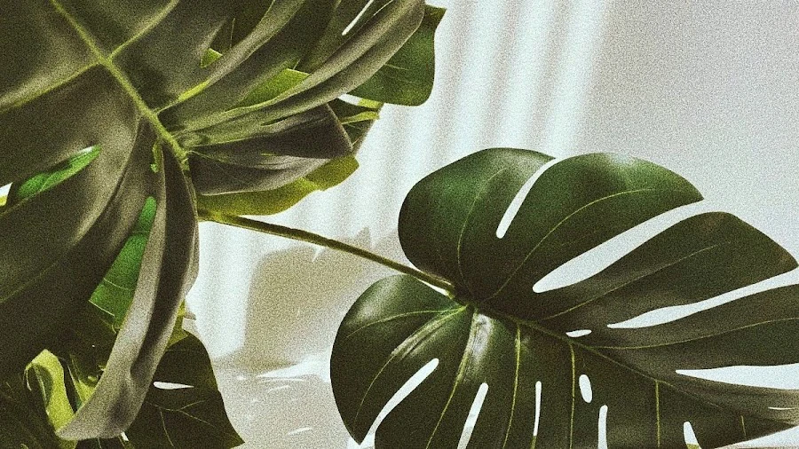 1 - Clickitys Hair Design