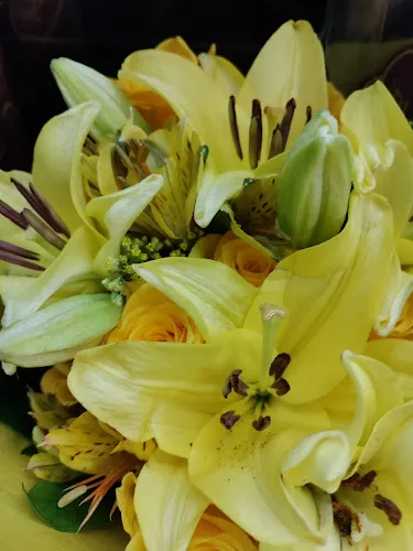 2 - D&D Beauty and Flower Shop