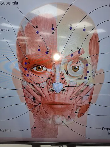 5 - DAWNS HAIR AFFAIR