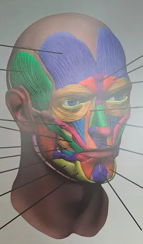 4 - DAWNS HAIR AFFAIR