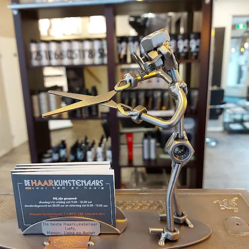 5 - De Haarkunstenaars