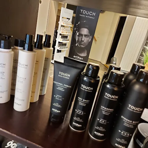 7 - De Haarkunstenaars