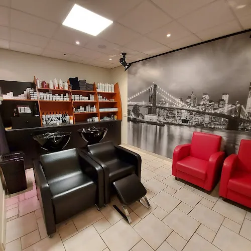 8 - De Haarkunstenaars