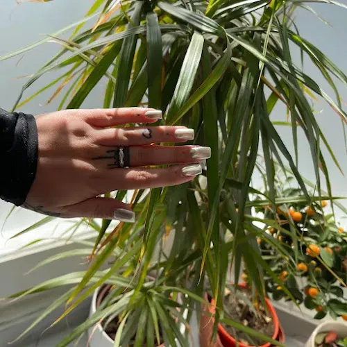 4 - Devon nails salon