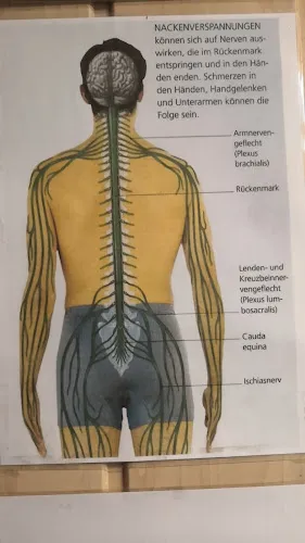 4 - Die Schnittstelle Carelli Friseure GmbH