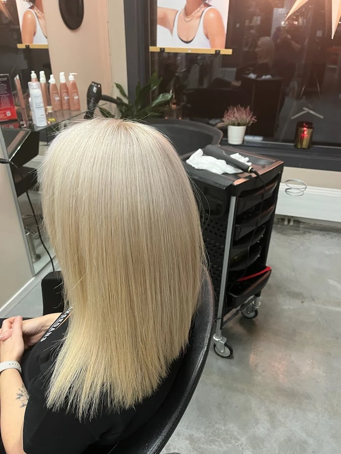 1 - Din salong Haddy Jaw