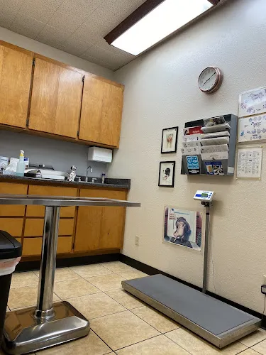 6 - Dog & Cat Veterinary Clinic