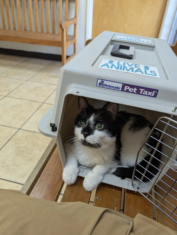 1 - Dog & Cat Veterinary Clinic