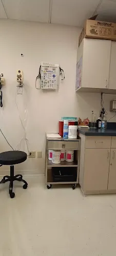 6 - Dr. Andrei Souchitski, DDS Centro Medico & Dental Familiar